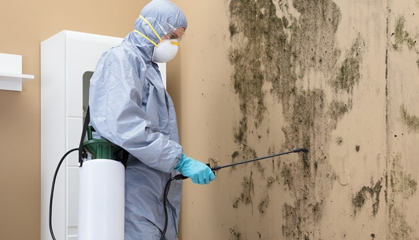 Specialized Mold Inspection Services Target Concealed Areas Causing Major Health Issues