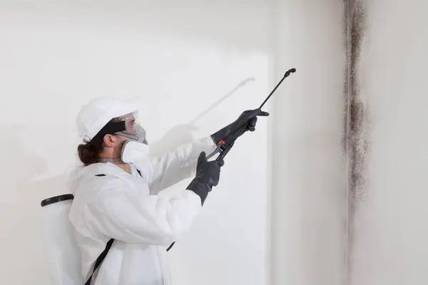 Top-Rated Henrico Mold Remediation Service for Complete Mold Removal