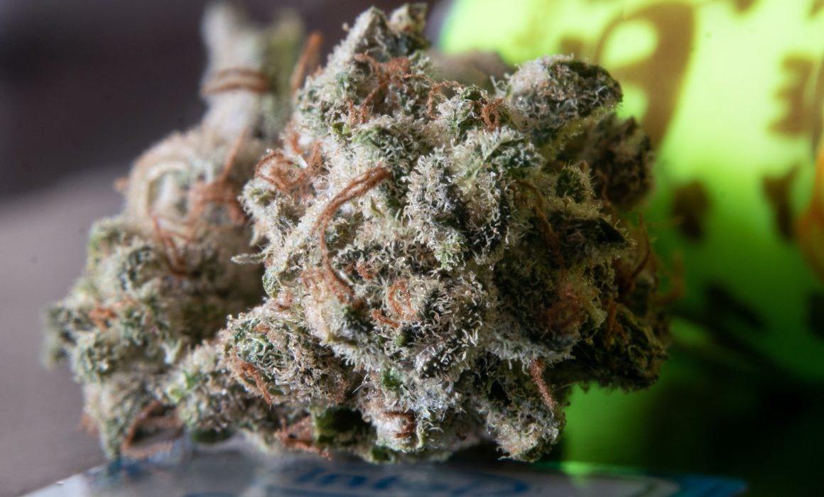Find Premium Cannabis Through Wiet Kopen With Trusted Product Information