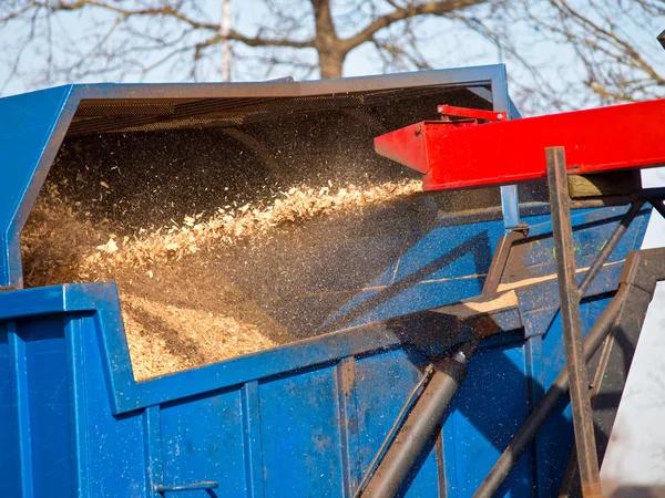 Tree Removal Service Mobile That Delivers Lasting Results