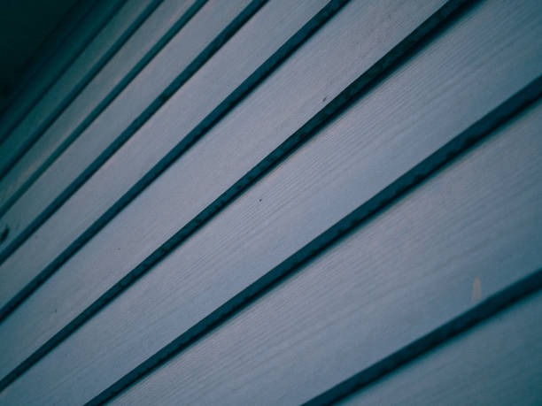 Exploring the Pros and Cons of Vinyl Siding: A Personal Journey