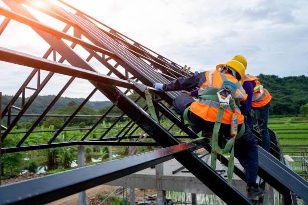 Choose Roofing Contractor Bellevue for Expert Roofing Solutions