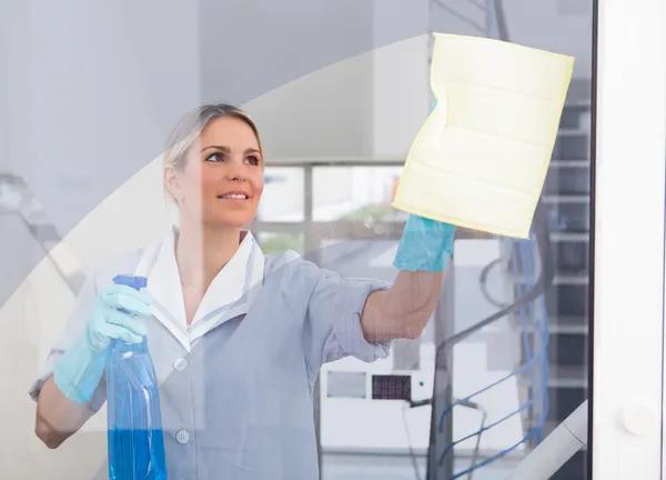 Professional Window Cleaning Services in Plano