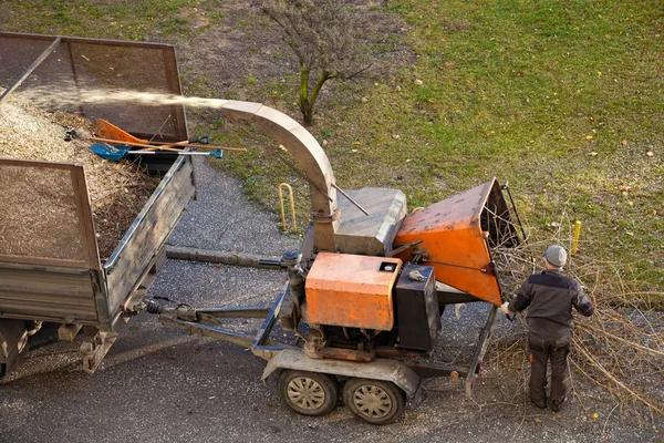 Quality Tree Service Mobile for Local Properties