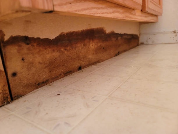 How to Select the Best Insulation Company in Prince George