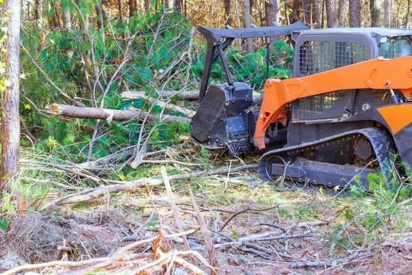 Experienced Tree Service Madison Professionals You Can Trust