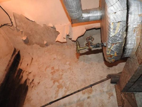 Professional Basement Flood Prevention Services for Your Home