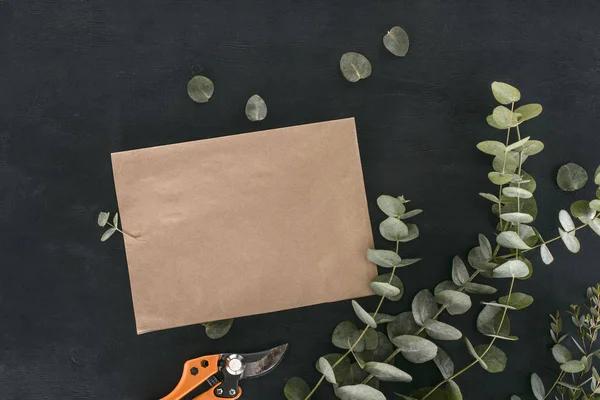 Designing a Sweet Potato Garden: A Unique Approach